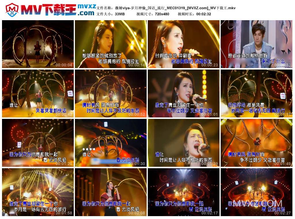 薇娅viya-岁月神偷_国语_流行_MEC01319